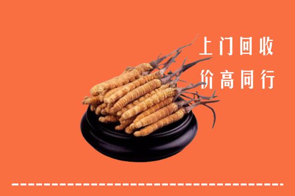 高价求购：文安县回收散虫草