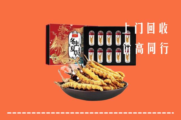 文安县回收虫草